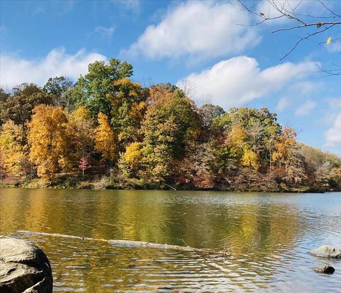 Autumn foliage along lake