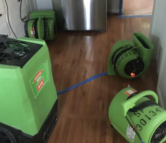 green drying equipment