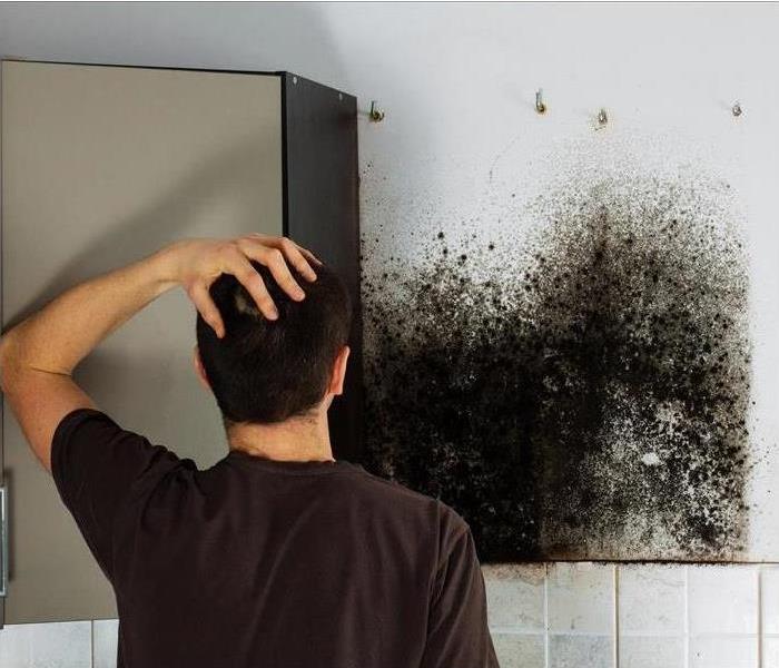 Man faces black mold on wall