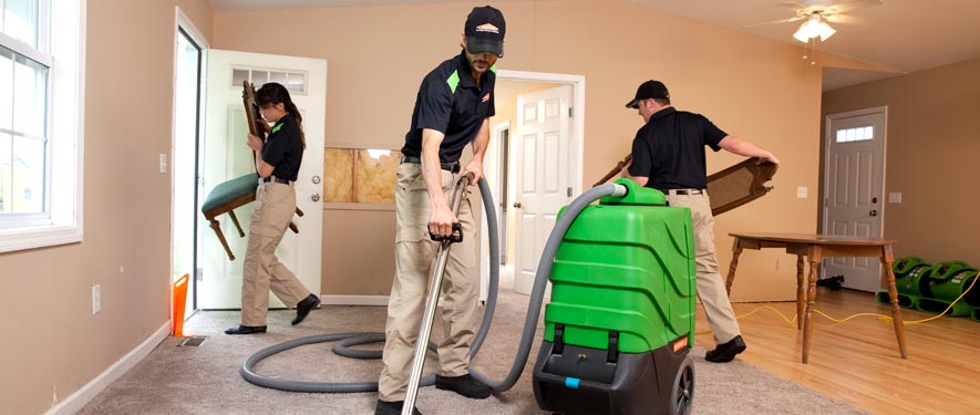 Rockville, MD cleaning services